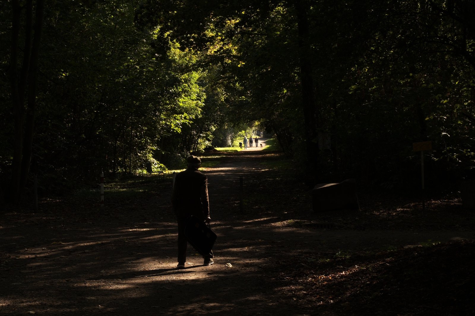 Older Suited Man Walking In The Park